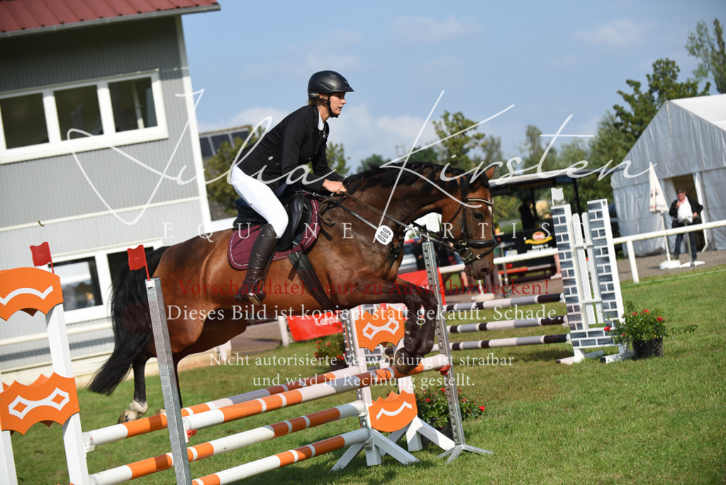 DSC_8692 | Pferde- und Turnierfotografie in Westsachsen. Pferdeportraits, Auftragszeichnungen und intuitive Kunst.