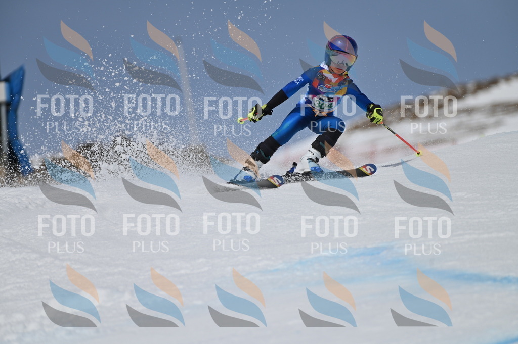 BGV_6021 | holidayphoto