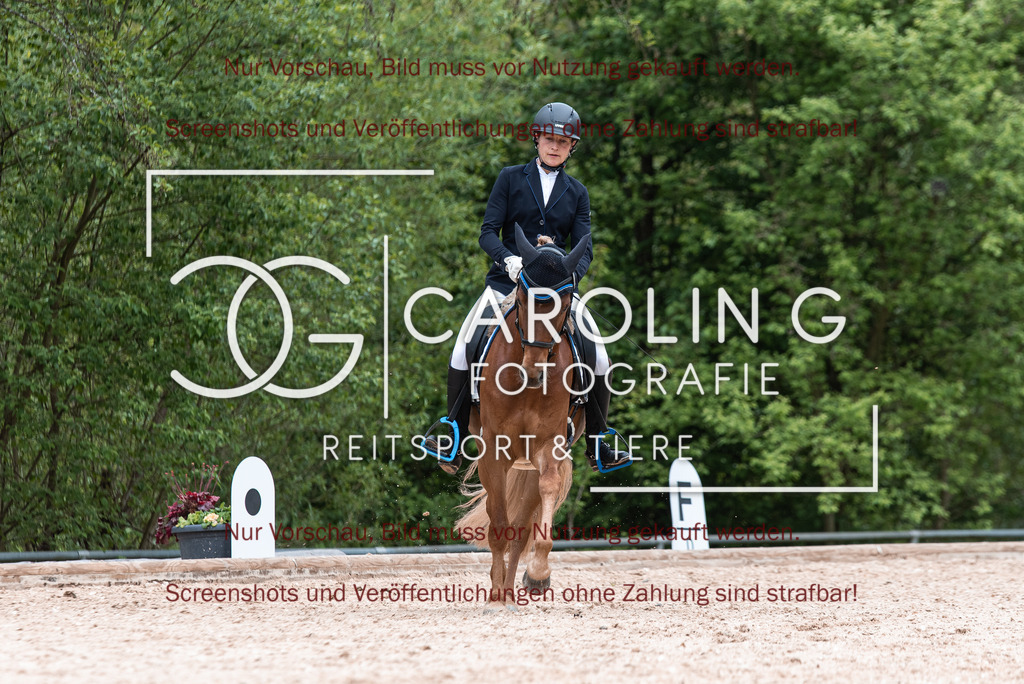 DSC_7027 | Turnierfotografin Carolin Gieschke,Reitsport Turnierfotografie Carolin G Fotografie | Turnierfotos aus Kirchheim/Teck, Esslingen, Stuttgart und dem Bodenseekreis