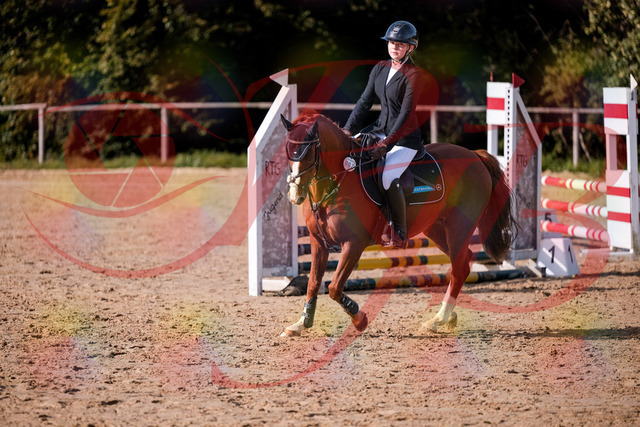 2026_10_03_Siefer-Hof_155707_Z81_76701736 | Professionelle Reitsport-, Turnier- und Eventfotografie von Robert Broda. Galerien mit ausgewählten und bearbeiteten Bildern direkt online ansehen und bestellen.