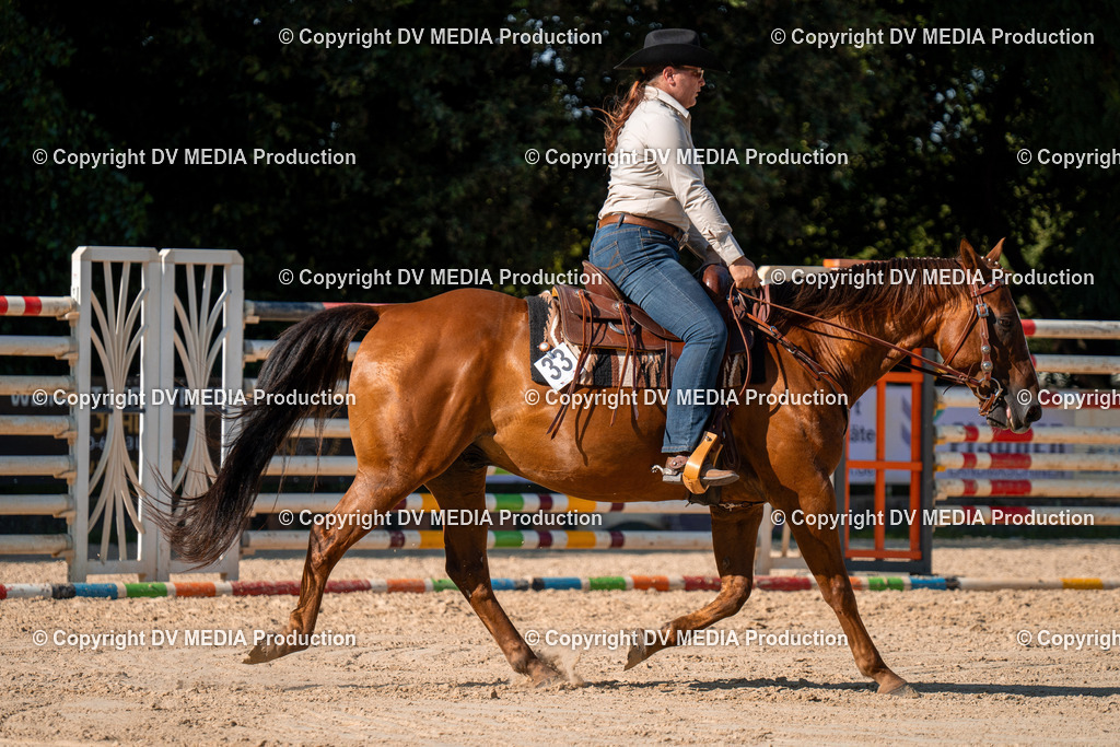 ZH100789 | dv-media-shop - Realisiert mit Pictrs.com