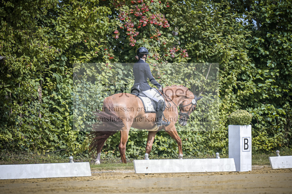 DOS_9728 | Entdecke hochwertige Reitturnierfotos von Foto Oger. Professionell, emotional und authentisch – jetzt Lieblingsmomente im Shop bestellen.Deutschlandweite Turnierfotografie. - Realisiert mit Pictrs.com