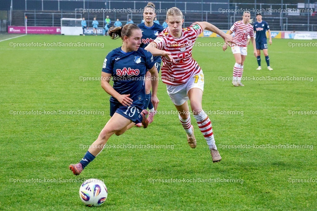 xSSCx09112501009 | 09.11.2025, xsscx, Frauen Fussball, 1. FC Koeln - TSG 1899 Hoffenheim, 1. Fuﬂball Bundesliga, 10. Spieltag, Franz-Kremer-Stadion, Saison 2025 2026: Marie Steiner (TSG Hoffenheim #19) im Zweikampf gegen Anna-Lena Stolze (1. FC Koeln #07) DFB regulations prohibit any use of photographs as image sequences and or quasi-video.