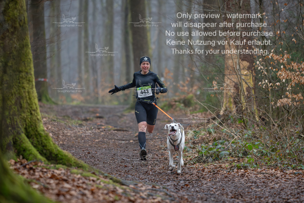 Canix_So-18 | stephaniefillaphotographie - Realisiert mit Pictrs.com