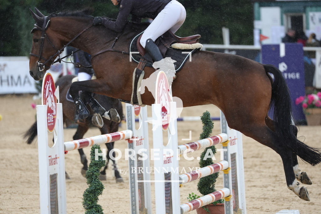 0P6A9561 | Willkommen bei Brunnmayr - Design & Fotografie – Ihrem Spezialisten für Reitturniere und Pferdeveranstaltungen in Oberösterreich, Salzburg und Bayern! Seit über 17 Jahren sind wir leidenschaftlich dabei.