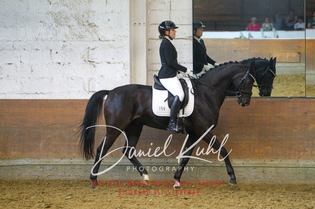 DKP43696 | Turniersportfotografie; Pferdefotografie; Dressurfotografie