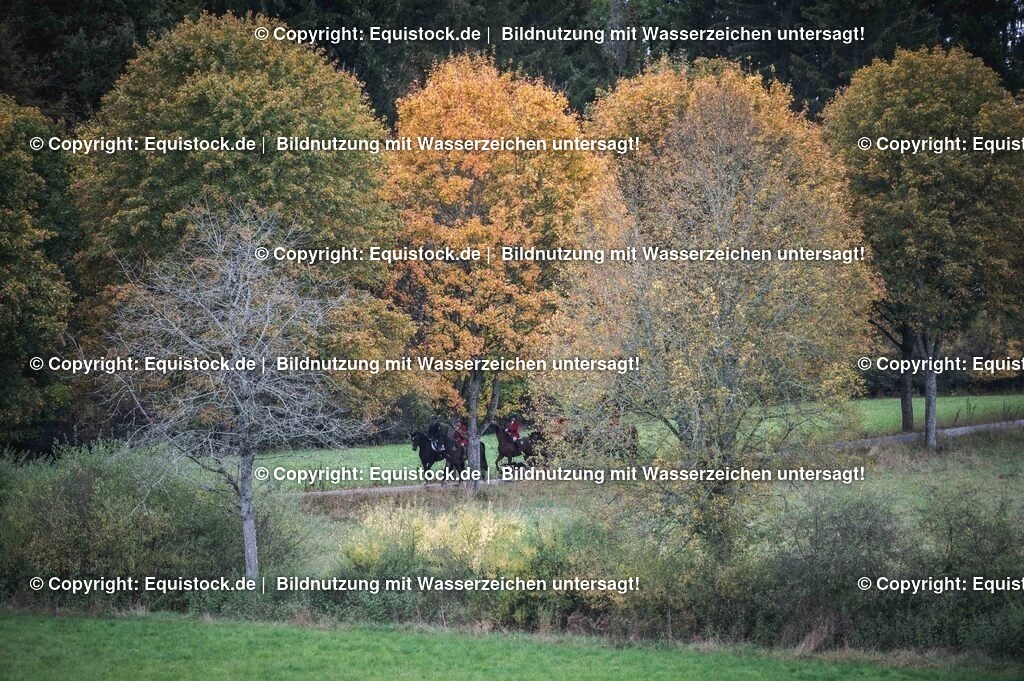 20241013_Jagd-Marbach_0258 | Foto: Thomas Hartig