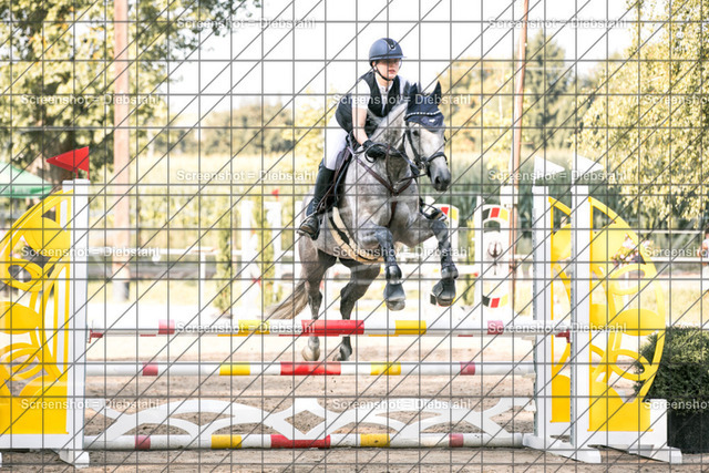 _W6A0242 | ronjaprokoschfotografie - Realisiert mit Pictrs.com
