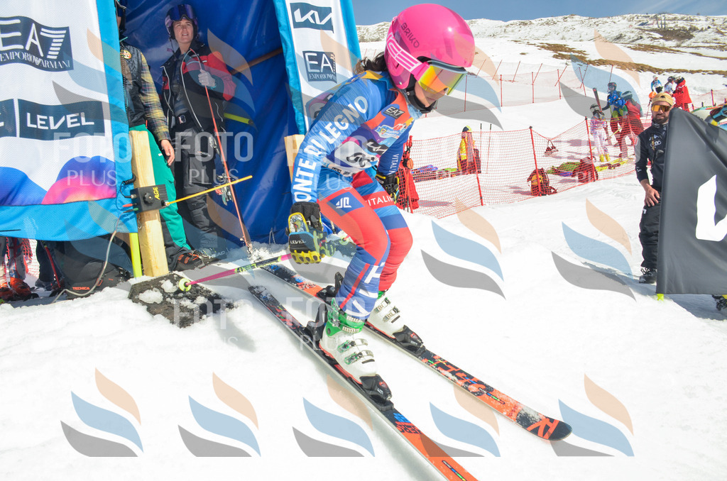 _ELE5388 | holidayphoto