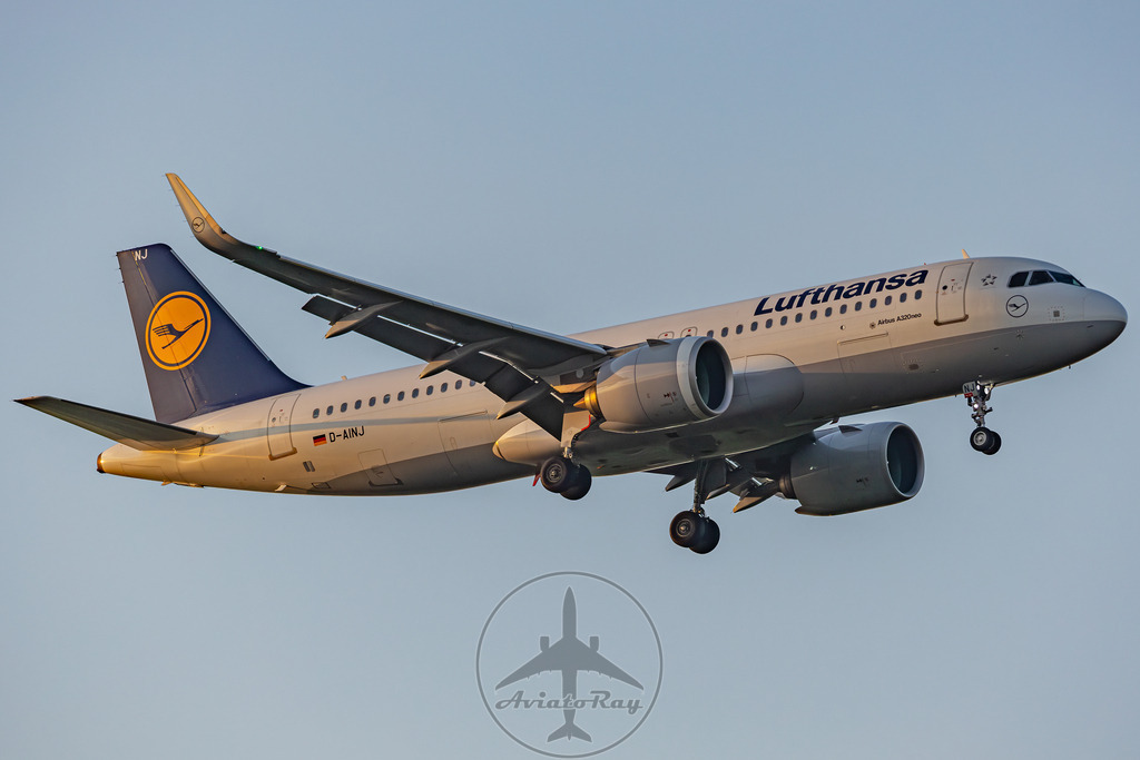 LH587-A20N-D-AINJ-CAI-MUC-20240727-1 | Browse breathtaking aviation photography and order high-quality prints from AviatoRay's gallery. Perfect for enthusiasts and collectors. - Realisiert mit Pictrs.com