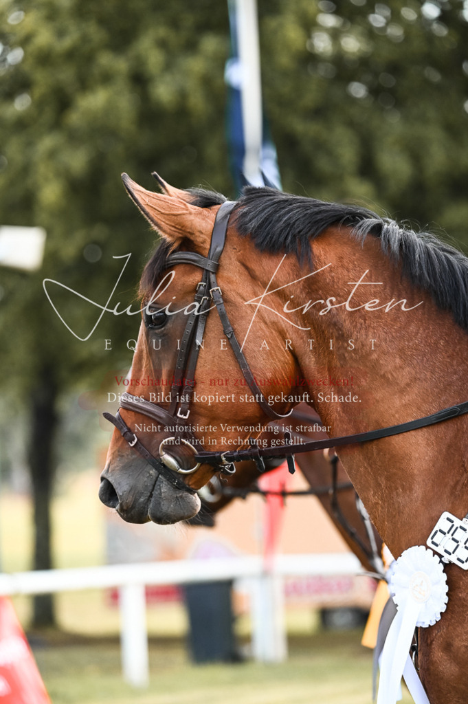 DSC_7657 | Pferde- und Turnierfotografie in Westsachsen. Pferdeportraits, Auftragszeichnungen und intuitive Kunst.