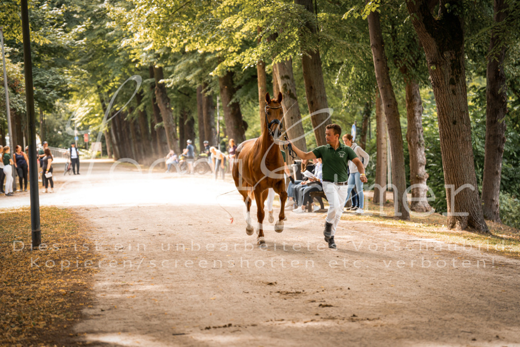 FrPfM00069 | Leoni Ertmer Photography - Realisiert mit Pictrs.com