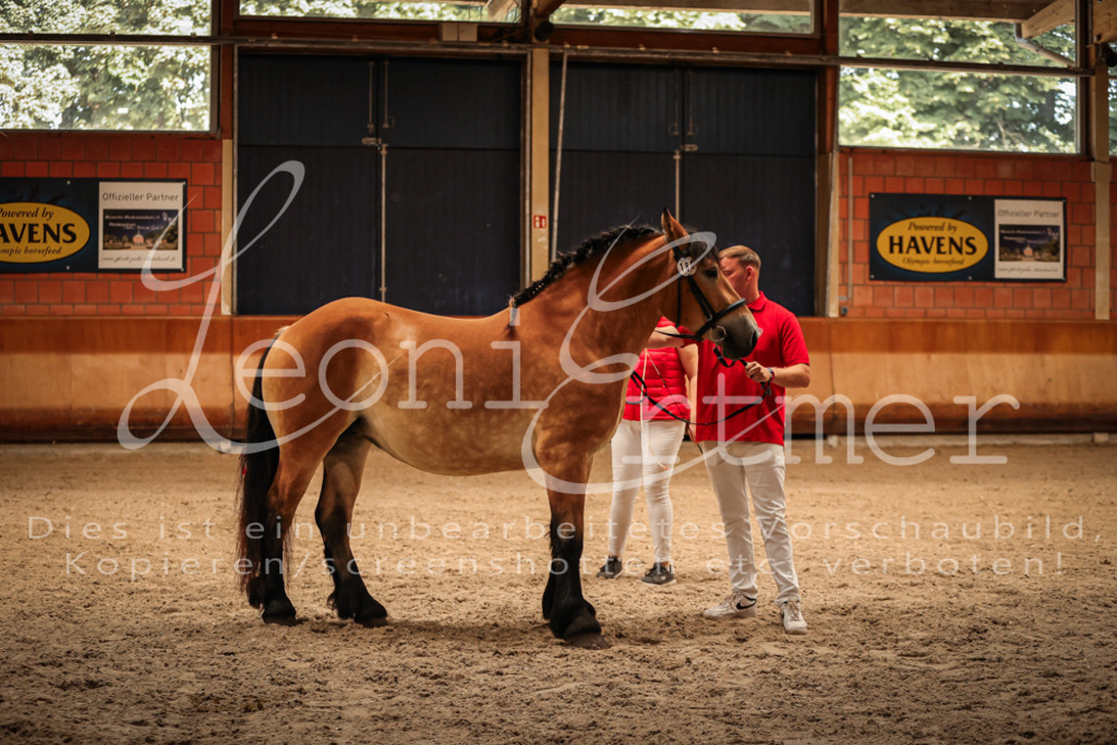 SaFL00100 | Leoni Ertmer Photography - Realisiert mit Pictrs.com