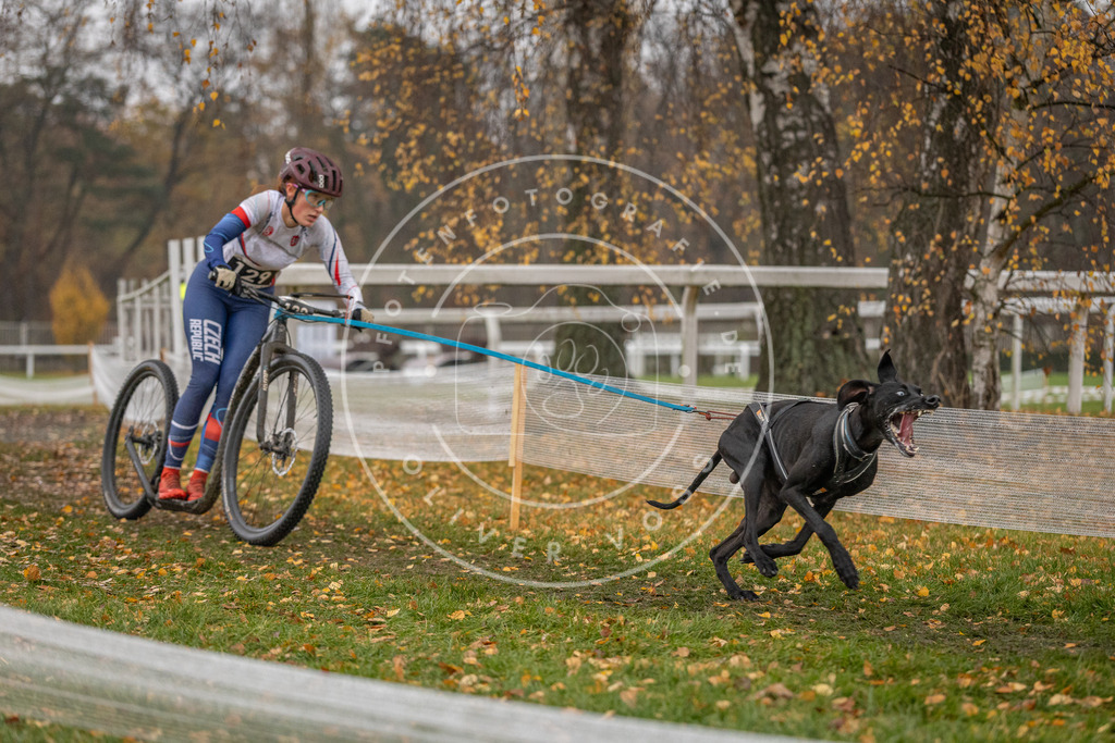 CaniXpix_DV3A7600 | Hundefotografie, Tierfotograf, Pfotenfotografie, Fotoshooting Hund, Hunde Portrait, Hundesport, Hundeportraits, Heideshooting, Hunde, Sportfotograf, Hundefotograf, Turnierhundsport, THS,  - Realisiert mit Pictrs.com