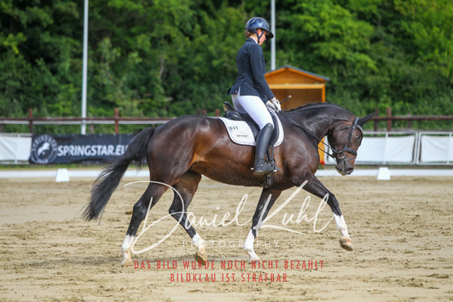 DKP45525 | Turniersportfotografie; Pferdefotografie; Dressurfotografie