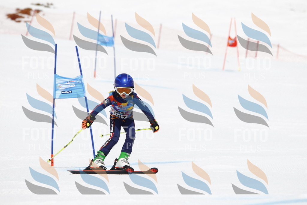 _U3G6696 | holidayphoto