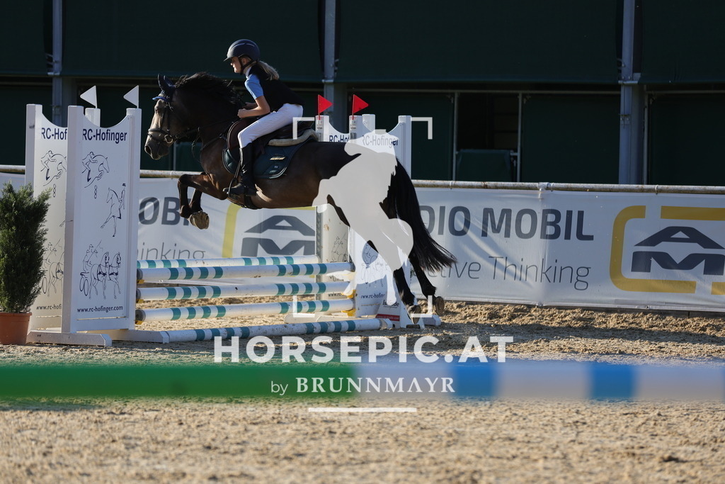 0P6A6582 | Willkommen bei Brunnmayr - Design & Fotografie – Ihrem Spezialisten für Reitturniere und Pferdeveranstaltungen in Oberösterreich, Salzburg und Bayern! Seit über 17 Jahren sind wir leidenschaftlich dabei.
