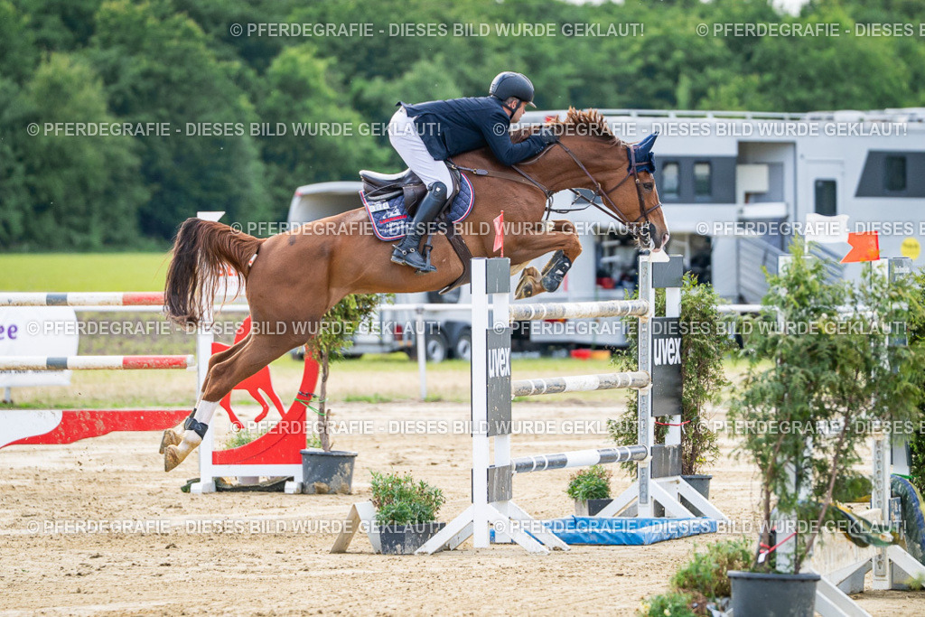 DSC07336 | Pferdegrafie