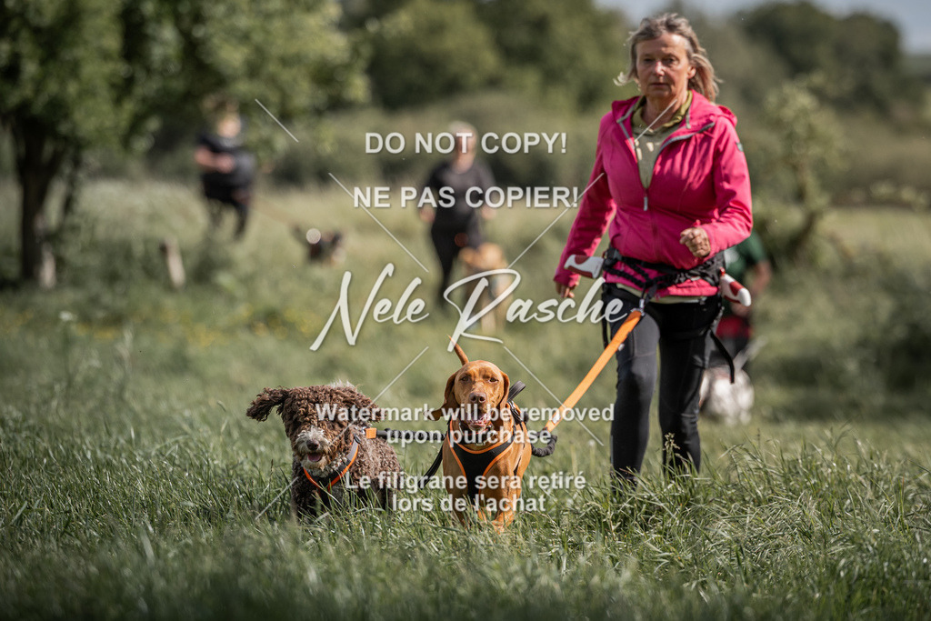 nelerasche_Do-spät_120 | nelerasche
