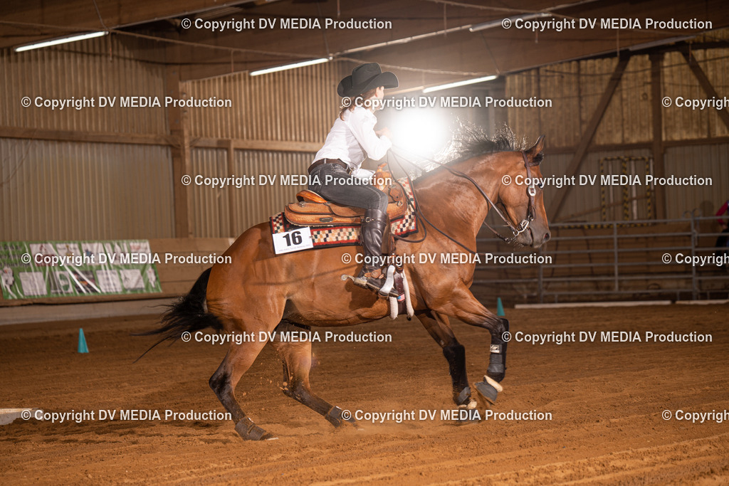 NID01201 | dv-media-shop - Realisiert mit Pictrs.com