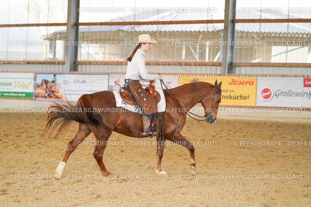 DSC01335 | Pferdegrafie