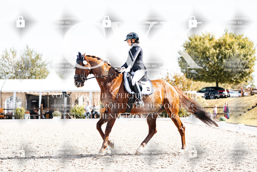 CK902631 | Turnierfotografie Pferdefotografie Trier Rheinland-Pfalz Pferdesport Reitsport Tierfotografie Sportfotografie Pferdevideo Pferdevideografie Equestrianvideography equestrianphotography  - Realisiert mit Pictrs.com