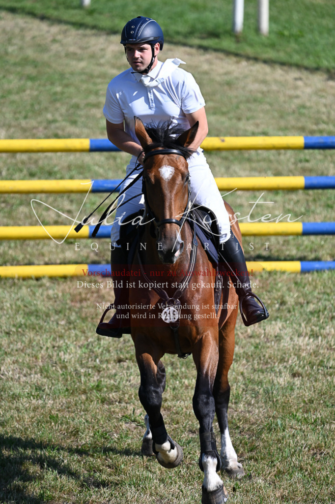 DSC_2167 | Pferde- und Turnierfotografie in Westsachsen. Pferdeportraits, Auftragszeichnungen und intuitive Kunst.