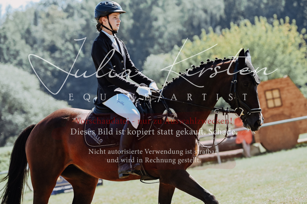 DSC_6297 | Pferde- und Turnierfotografie in Westsachsen. Pferdeportraits, Auftragszeichnungen und intuitive Kunst.