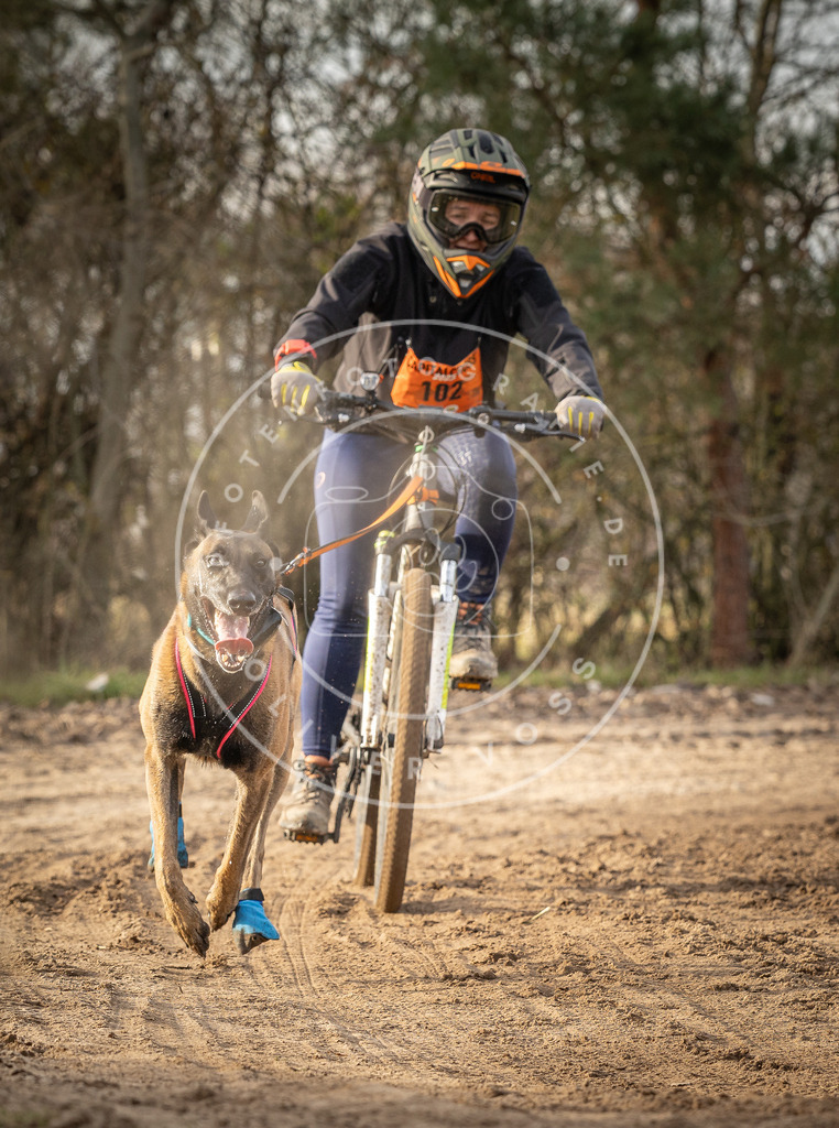 Pfotenfotografie_DV3A8831 | Hundefotografie, Tierfotograf, Pfotenfotografie, Fotoshooting Hund, Hunde Portrait, Hundesport, Hundeportraits, Heideshooting, Hunde, Sportfotograf, Hundefotograf, Turnierhundsport, THS,  - Realisiert mit Pictrs.com