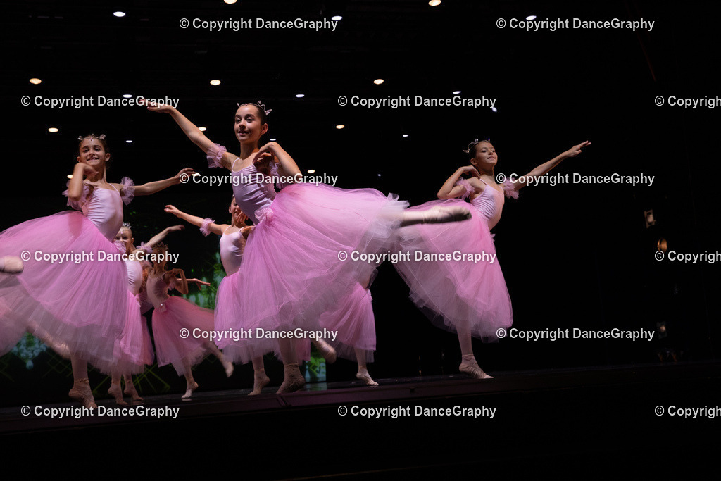 GPHY6726 | DanceGraphy - Realisiert mit Pictrs.com