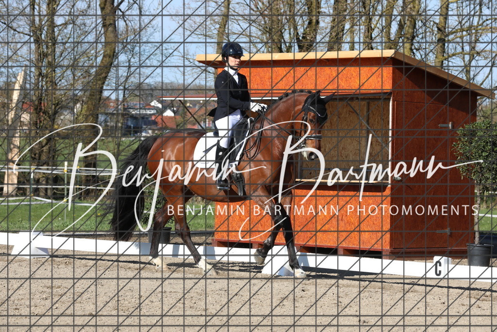 AZ2A6617 | Benjamin Bartmann Photomoments