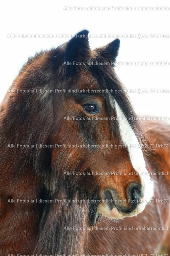 BMF04681-01_3 | krollfotografie - Realisiert mit Pictrs.com