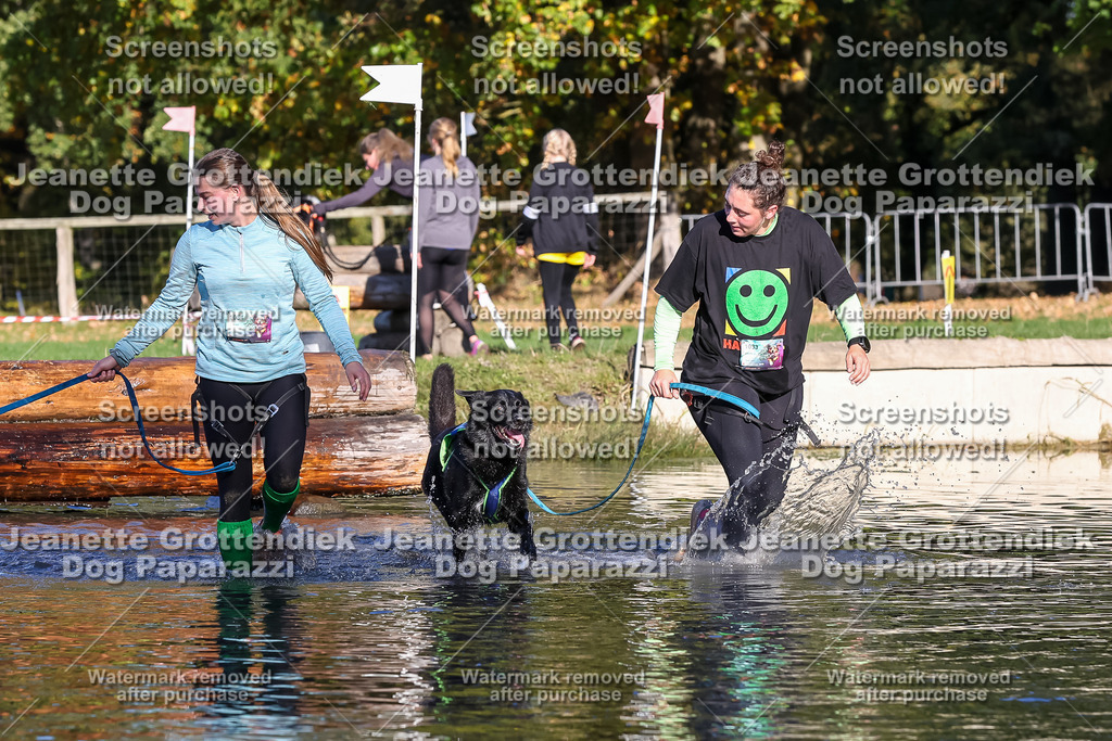 Dog Paparazzi - Strongdog 10-25-8844 | Dog Paparazzi Jeanette Grottendiek Fotografie & Videografie - Realisiert mit Pictrs.com