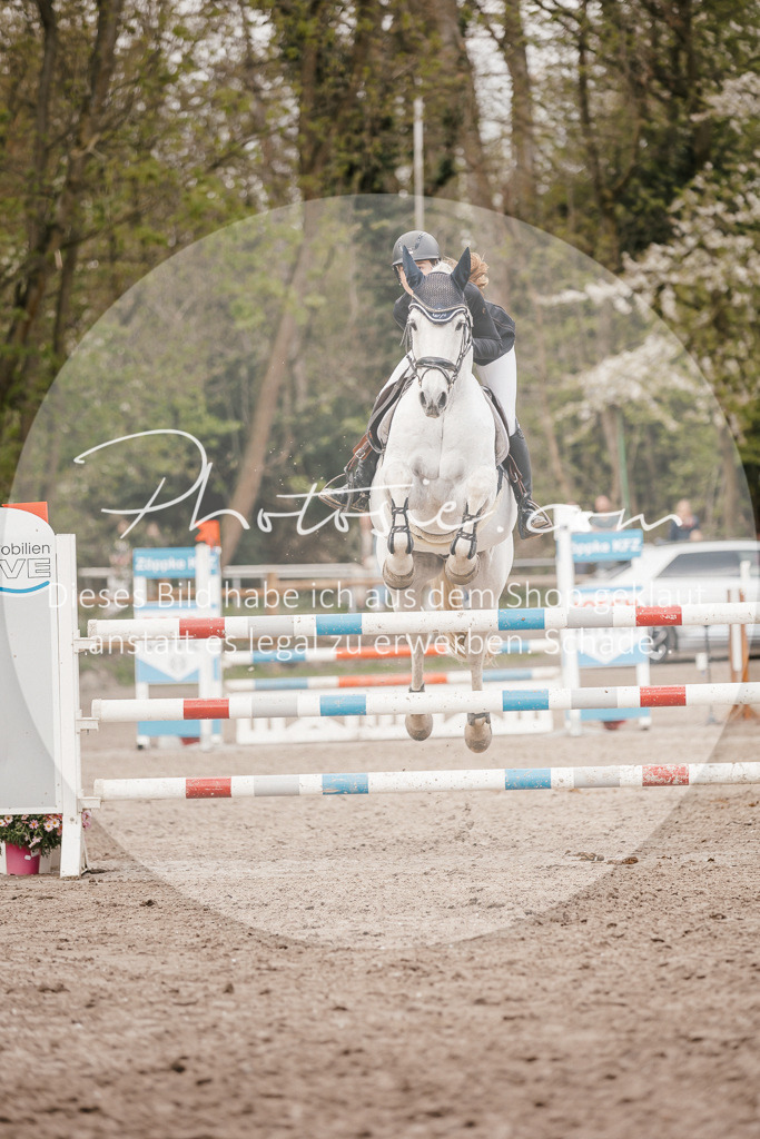 3I6A4403 | Stimmungsvolle Portraits und Reitsportfotografie im Ruhrgebiet und im Münsterland.

Pferdefotografie, Hundefotografie, Tierfotografie, Reportagen, Portraits von Tier und Mensch, Turnierfotografie in Bochum, Recklinghausen, Marl, Haltern am See, Dülmen.. - Realisiert mit Pictrs.com