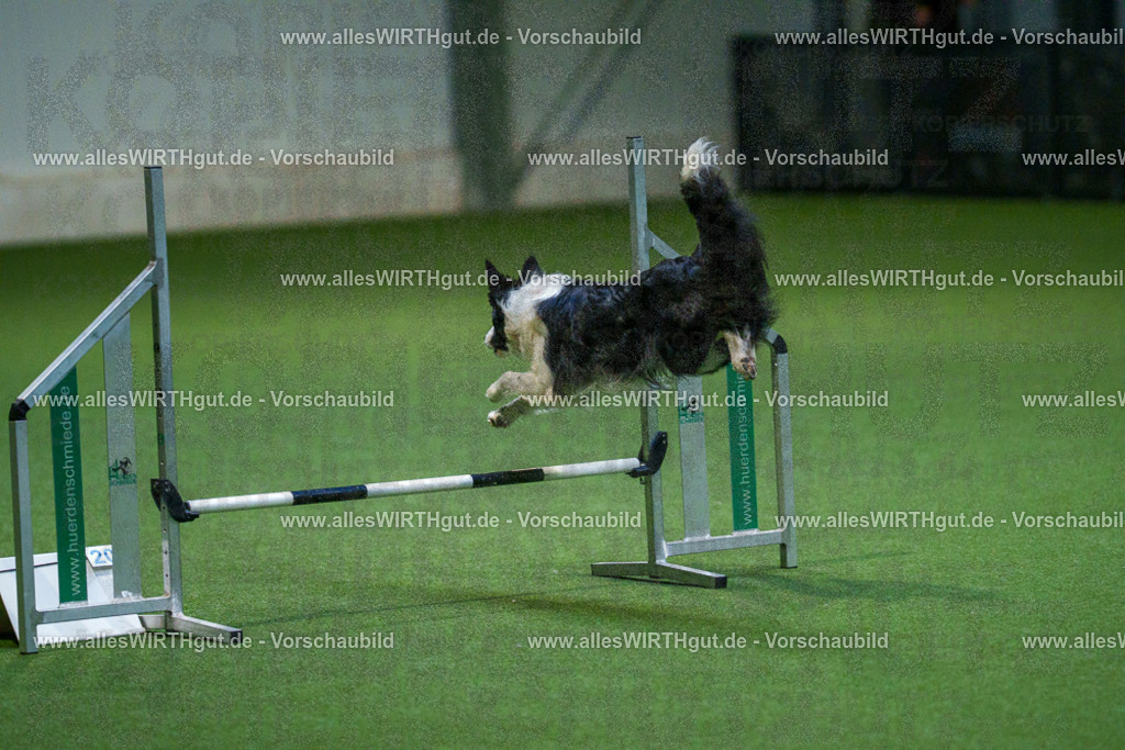 7R501035 | Professionelle Tierfotografie in Mönchengladbach von Daniel Wirth (allesWIRTHgut). Liebevolle & natürliche Bilder von Hunden & Katzen für unvergessliche Erinnerungen.