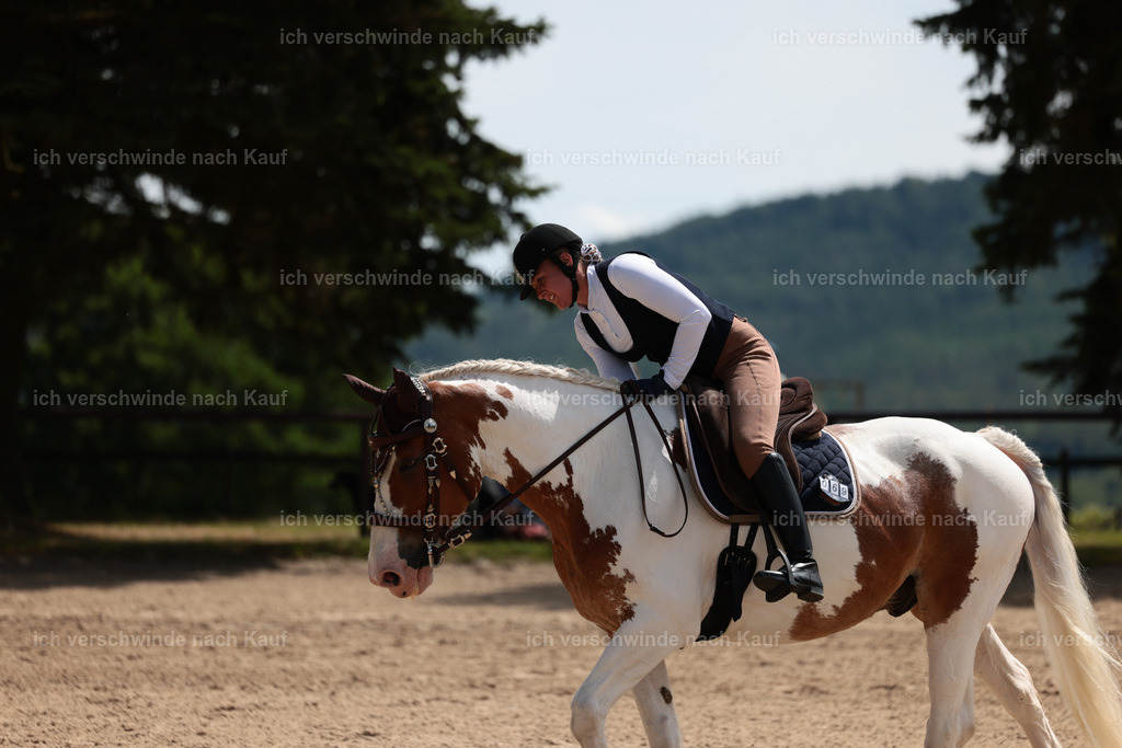 KlasseA_Stoibphotography_C2_L5585.JPG | working equitationturnier fotograf videograf stoibphotography marixx film working equitation deutschland reitsport turnierfotografie eventfotografie equestrian events