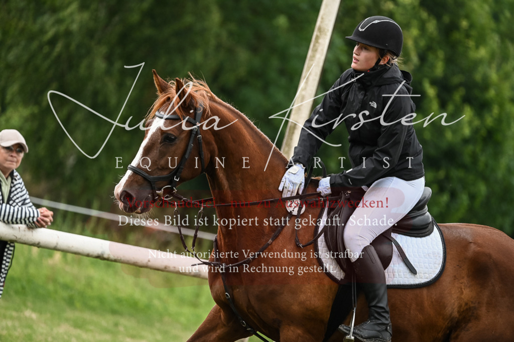 DSC_8387 | Pferde- und Turnierfotografie in Westsachsen. Pferdeportraits, Auftragszeichnungen und intuitive Kunst.