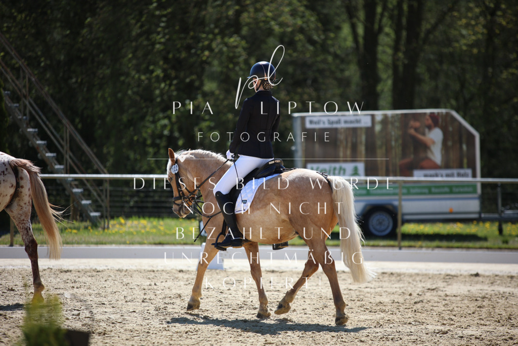 IMGT0170 | pl-fotografie