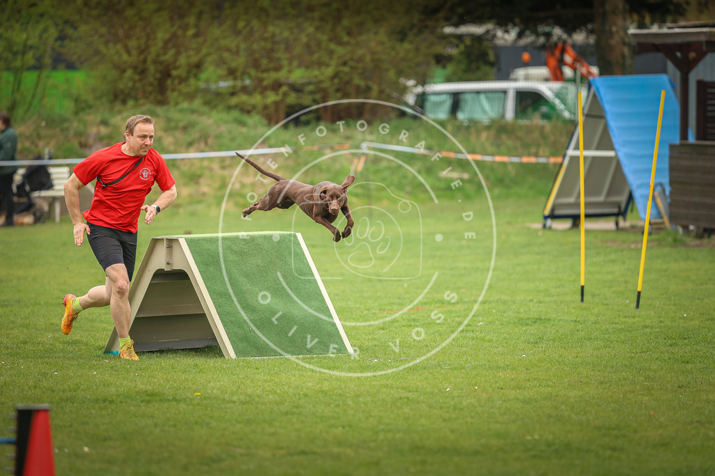 Pfotenfotografie_0L8A1930 | Hundefotografie, Tierfotograf, Pfotenfotografie, Fotoshooting Hund, Hunde Portrait, Hundesport, Hundeportraits, Heideshooting, Hunde, Sportfotograf, Hundefotograf, Turnierhundsport, THS,  - Realisiert mit Pictrs.com