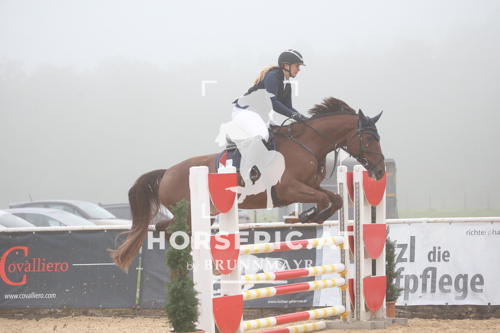 DL2Q2870 | Willkommen bei Brunnmayr - Design & Fotografie – Ihrem Spezialisten für Reitturniere und Pferdeveranstaltungen in Oberösterreich, Salzburg und Bayern! Seit über 17 Jahren sind wir leidenschaftlich dabei.