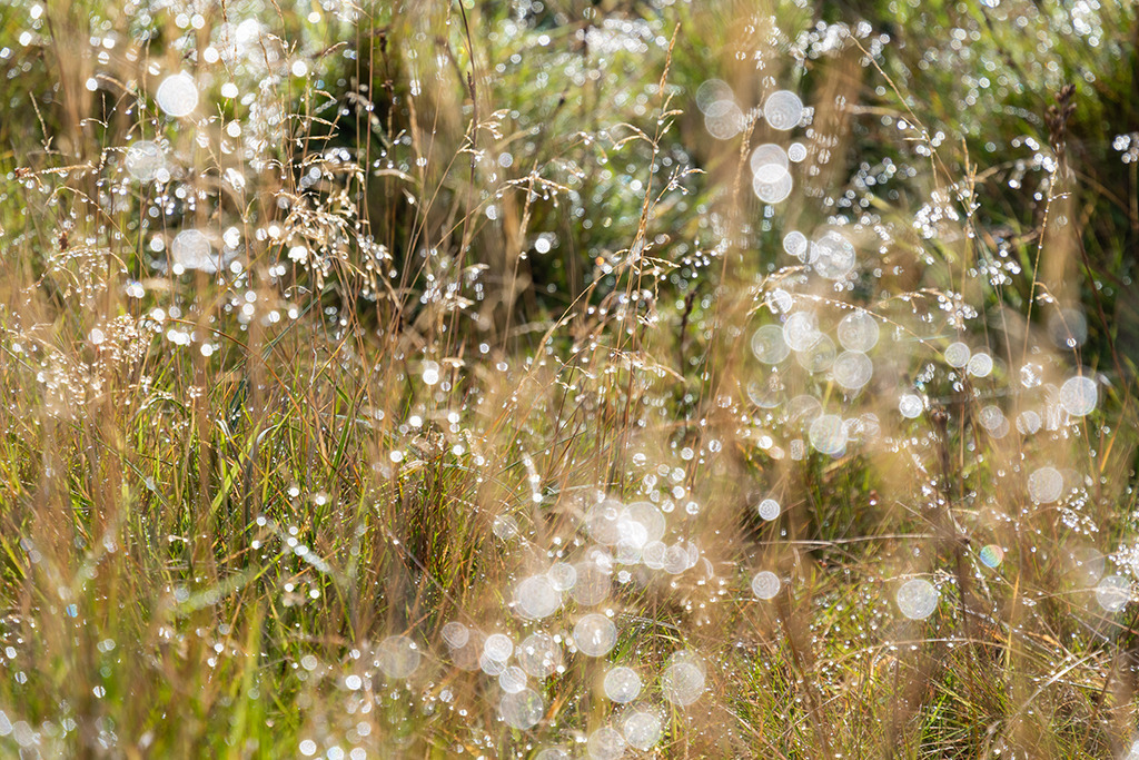 uk_2020_09_2868 | Ausdrucksstarke Naturfotografien | Fotokunst Wandbilder zur Raumgestaltung für Zuhause | Praxis und Büro| Hotels und Wellness | Kanzlei und Repräsentanz. Hochwertig, individuell, flexibel. - Realisiert mit Pictrs.com