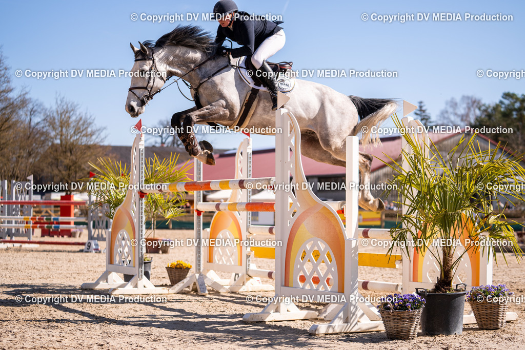 Kranichstein Tag 2-839 | dv-media-shop - Realisiert mit Pictrs.com