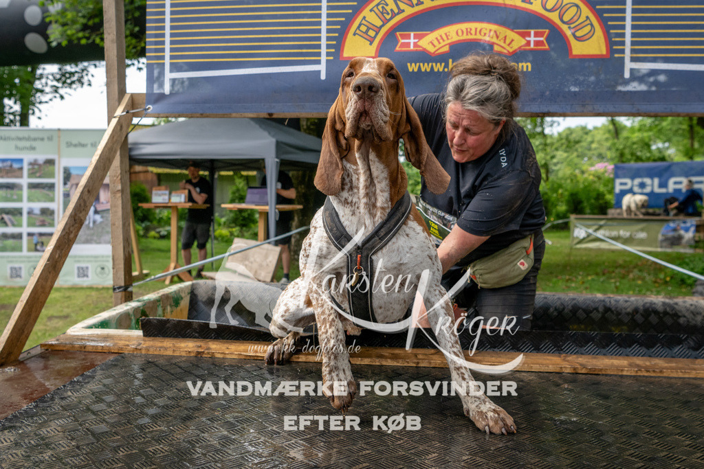 1123_ZZ94055 | kk-dogfotos