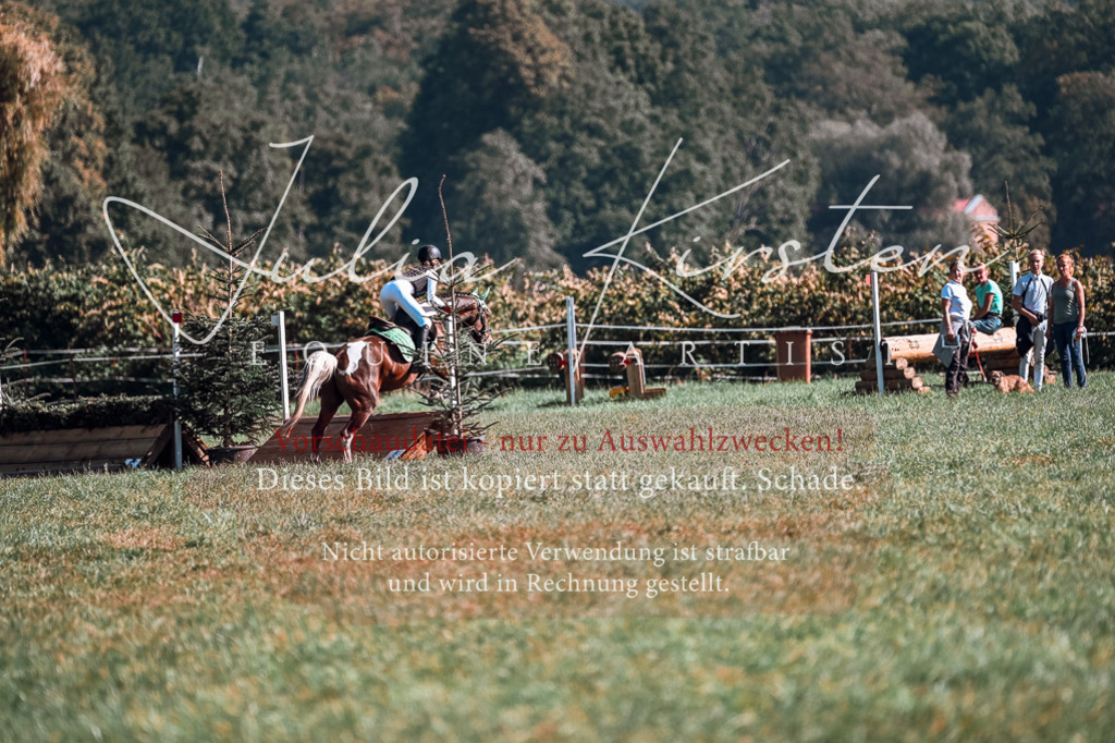 DSC_0846 | Pferde- und Turnierfotografie in Westsachsen. Pferdeportraits, Auftragszeichnungen und intuitive Kunst.