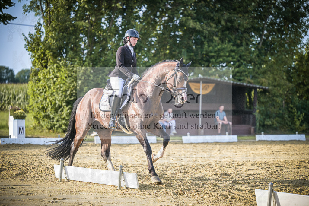 DOS_1737 | Entdecke hochwertige Reitturnierfotos von Foto Oger. Professionell, emotional und authentisch – jetzt Lieblingsmomente im Shop bestellen.Deutschlandweite Turnierfotografie. - Realisiert mit Pictrs.com