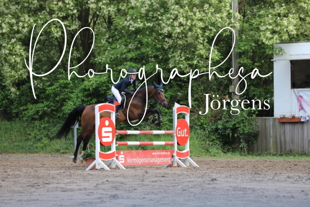 IMG_9099 | photographesa-joergens - Realisiert mit Pictrs.com