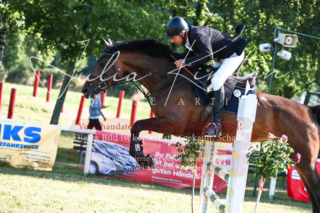 DSC_7475 | Pferde- und Turnierfotografie in Westsachsen. Pferdeportraits, Auftragszeichnungen und intuitive Kunst.