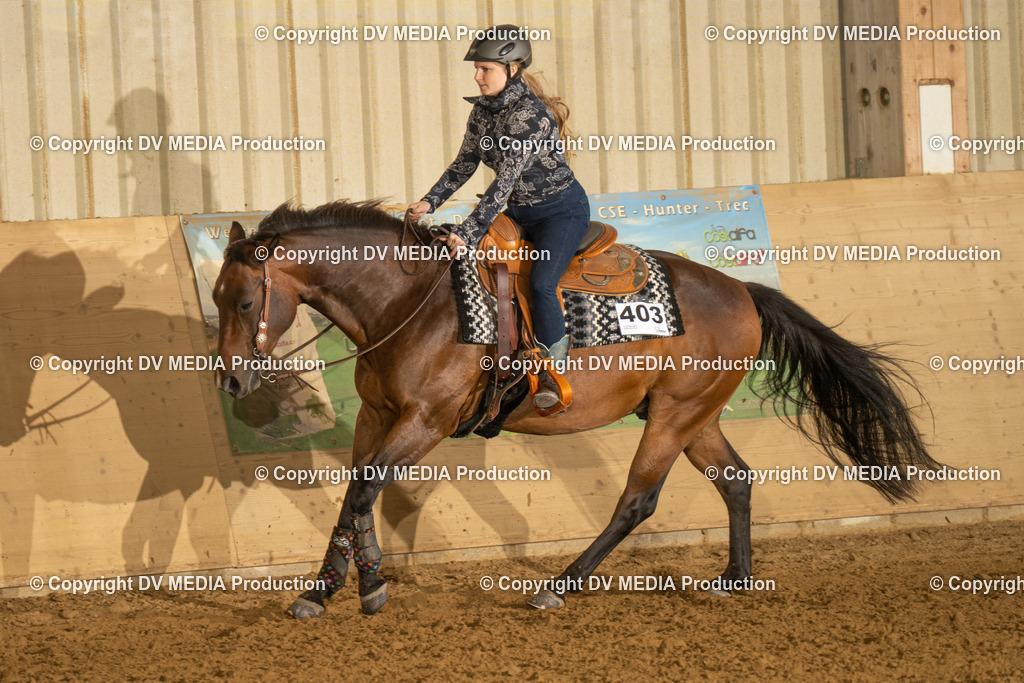 LAU00365 | dv-media-shop - Realisiert mit Pictrs.com