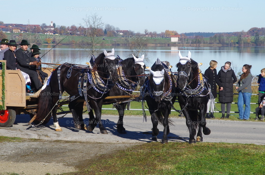 IMGP7587 | fotografiert von Axel PollmannLeonhardi Wallfahrt Benediktbeuern und Murnau, Fronleichnam, Fasching, Landschaft im Loisachtal und Benediktbeuern  - Realisiert mit Pictrs.com