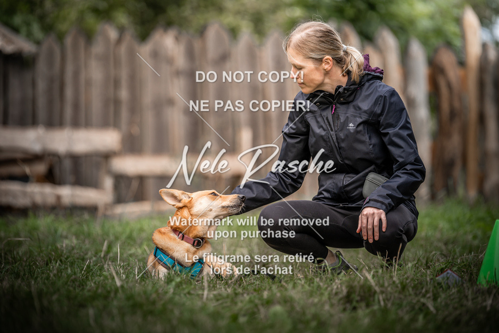 nelerasche_freitag2_030 | nelerasche